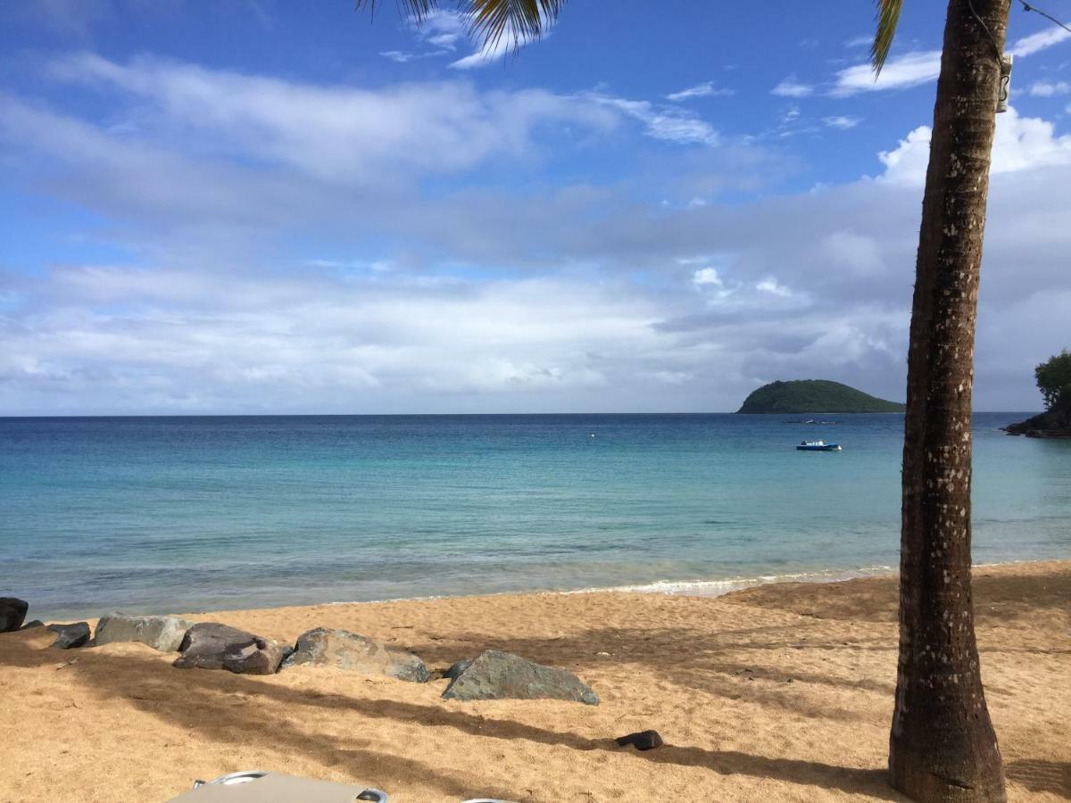 Apart Mango Baie-Mahault Bagian luar foto